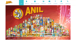 Desktop Screenshot of anilgroup.co.in